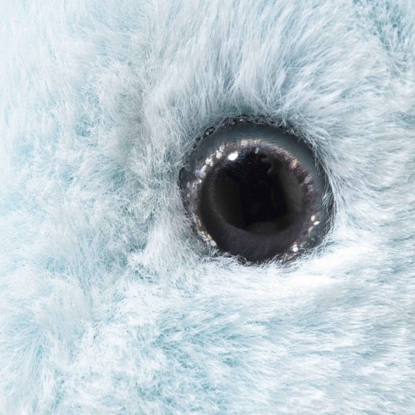 53c610d4-9fea-4d87-9987-9ab7bf8bc110_720x