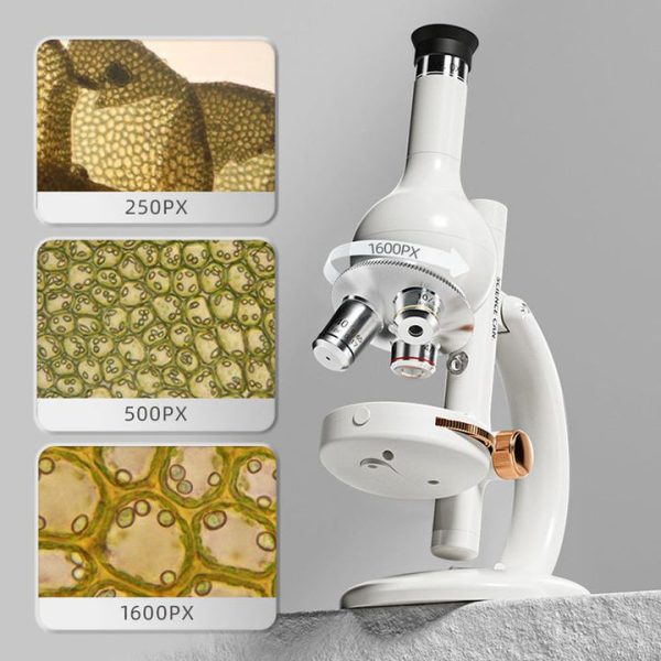 a89c8a54-7c17-4450-8b5f-a68d3fe48a79_720x-3