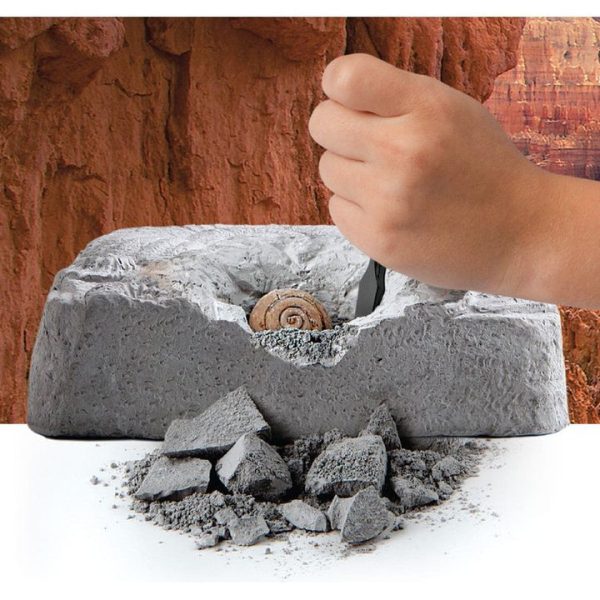 discovery-mindblown-stem-colossal-fossil-dig-set-32434812682327_720x-2