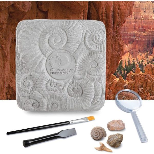 discovery-mindblown-stem-colossal-fossil-dig-set-32434812813399_720x-4