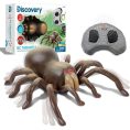 discovery-stem-remote-control-tarantula-spider-32434842828887_720x-2