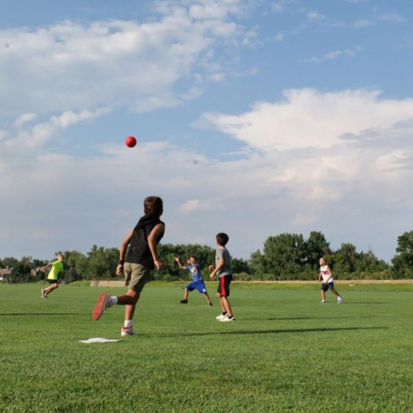 ec6455d4-ec3b-483a-99a5-aa23081f8103_720x-1