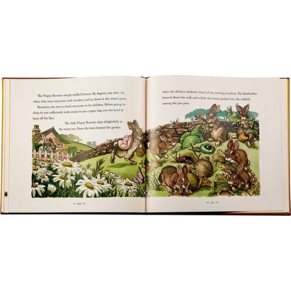 graphic-image-books-the-classic-tale-of-peter-rabbit-book-in-tan-bonded-leather-32343281991767_720x-3