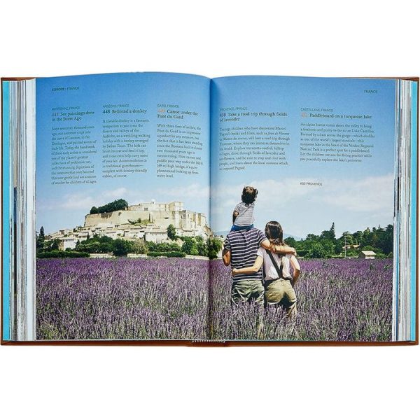 graphic-image-books-the-family-bucket-list-book-leather-edition-1152077163_720x-4