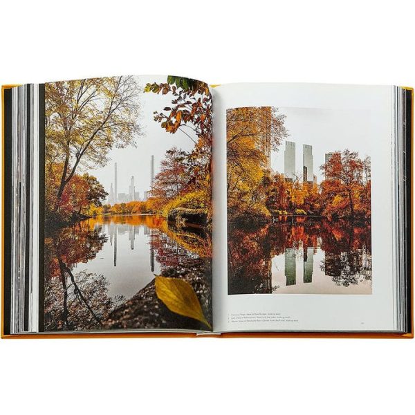 graphic-image-books-trope-new-york-book-leather-edition-1152077146_720x-1