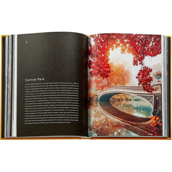 graphic-image-books-trope-new-york-book-leather-edition-1152077148_720x