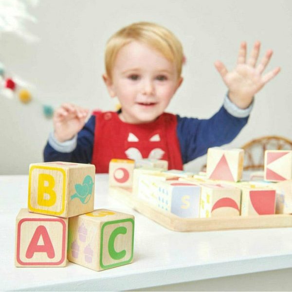 le-toy-van-infants-abc-wooden-blocks-14623727353943_720x-4