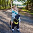 ponycycle-inc-outdoor-black-ride-on-horse-ages-4-9-31162521976919_720x-4