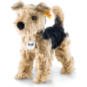 Terri Welsh Terrier