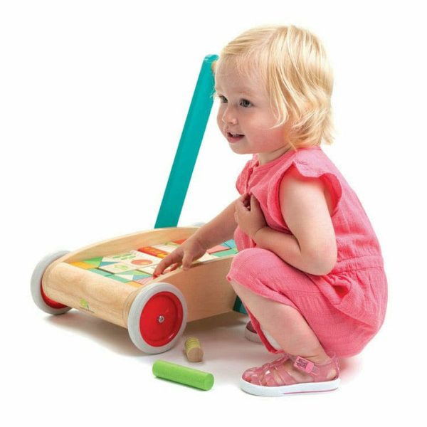 tender-leaf-preschool-baby-block-walker-29339713994839_720x-7