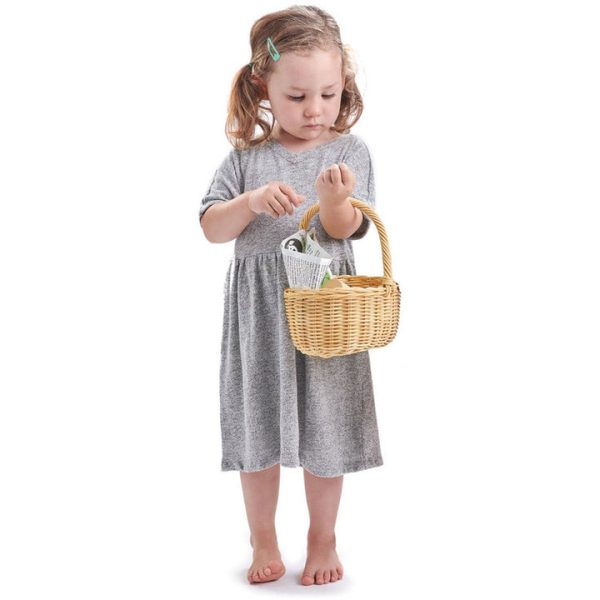 tender-leaf-toys-preschool-wicker-shopping-basket-29711571976279_720x