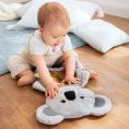 koala-water-play-mat-306659-ls4.jpg